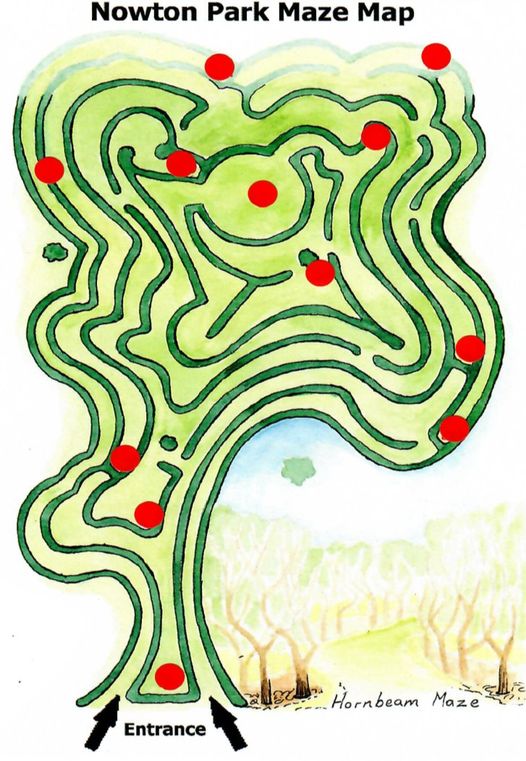 Mapa labiryntu - Nowton Maze